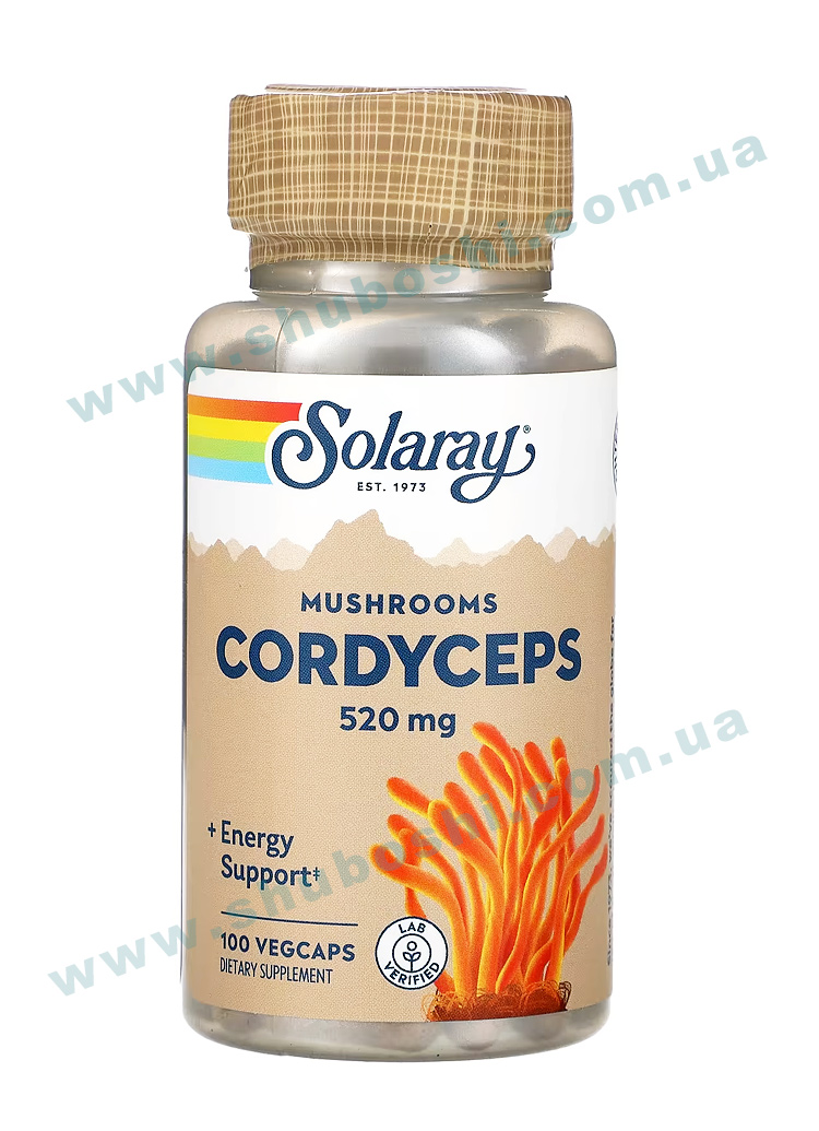 Cordyceps